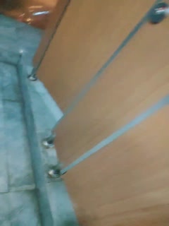 小狐狸主播【乌苏儿】极品美女，在网吧静静的去厕所开收费玩跳蛋扣逼_0